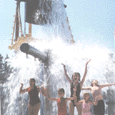 Ask about Noah's Ark packages! Relax in any of our 4 indoor or outdoor pools. Whirlpools, playground, game room, walk to restaurants & attractions. Kids love our Flamingo Fun Pail water adventure
